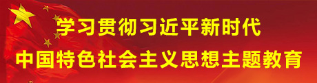 学习贯彻习近平新时代中国特色社会主义头脑主题教育